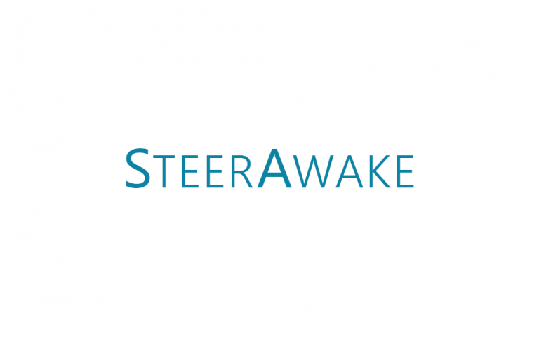 מיתוג עסקי - לוגו - SteerAwake